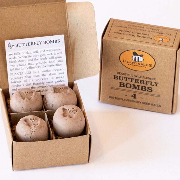 Butterfly Bombs - box of 4 wildflower seed balls for butterflies