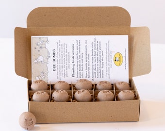 Bee Bombs - box of 10 wildflower seed balls for pollinators