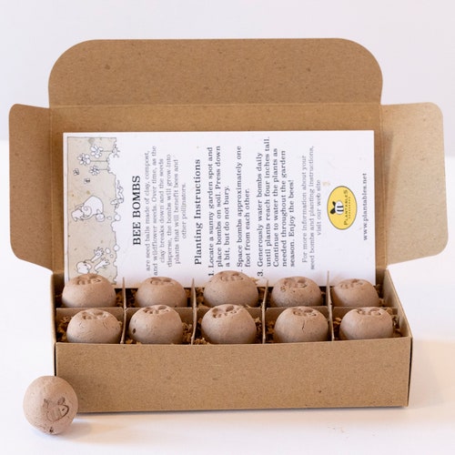 Bee Seed Bombs 12ct Etsy