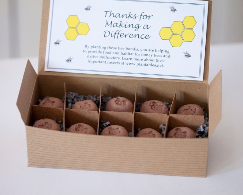 Bee Bombs box of 10 wildflower seed balls for pollinators Etsy