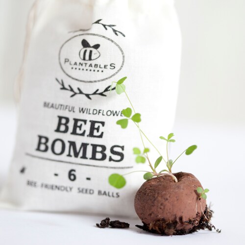 Bee Seed Bombs 12ct Etsy