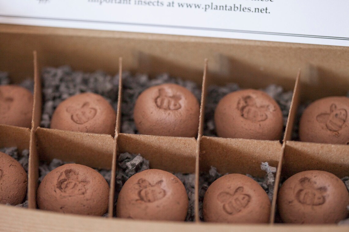 Bee Bombs Box of 10 Wildflower Seed Balls for Pollinators Etsy
