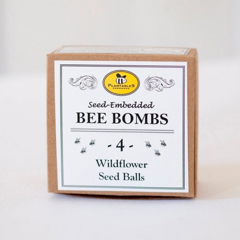 Bee Bombs gift box of 4 wildflower seed balls for Etsy