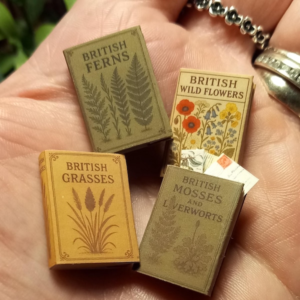 Ensemble de livres sur la nature vintage pour maison de poupée miniature à l'échelle 1,12.