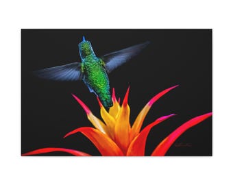 Vibrant Hummingbird Canvas Print, Tropical Floral Wall Art