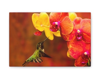 Canvas kolibrie en orchidee, natuurmuurkunst