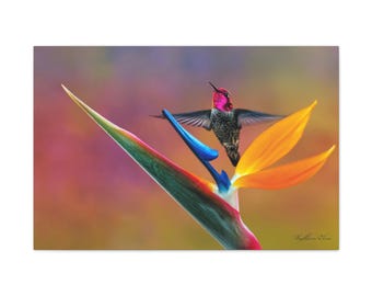 Hummingbird and Bird of Paradise Flower Photo Canvas Print, Tropical Decor