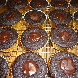May include: A close-up of a tray of chocolate cupcakes with chocolate frosting. The cupcakes are arranged in rows on a wire rack. The cupcakes are all topped with a dollop of chocolate frosting.