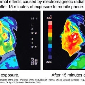 SHUNGITE EMF Pendants : Tree of Life Flower of Life Yin yang Donut