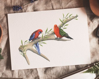 Rosella & King Parrot Fine Art Giclée Print, Native Australian Birds, Wildlife Watercolour Painting, Deer Antler, Nature Illustration Print