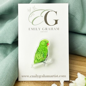 Eclectus Parrot Acrylic Pin 0.84x1.25inch, Parrot Illustration, Nature Aesthetic, Bird Art, Wildlife Acrylic Pin, Bird Illustration