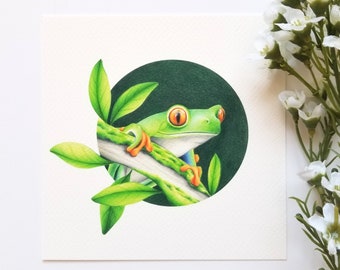 Red-Eyed Tree Frog Fine Art Giclée Print, Reptile Colour Pencil Illustration, Nature Illustration, Frog Wildlife Art Print, Amphibian Art