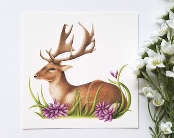 Deer Fine Art Giclée Print, Woodland Animal Art, Wildlife Colour Pencil Illustration, Deer Print, Nature Print, Wildlife Nursery Art Print