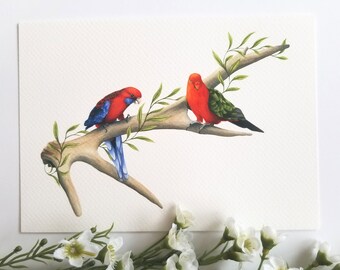 Rosella & King Parrot Fine Art Giclée Print, Native Australian Birds, Wildlife Watercolour Painting, Deer Antler, Nature Illustration Print