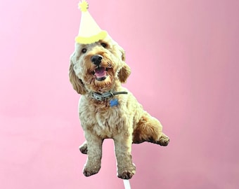 Personalised Party Pet Cake Topper