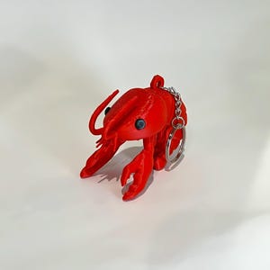 May include: A vibrant red 3D-printed crawfish keyring with a silver chain. The crawfish features detailed claws, antennae, and blue eyes. A novelty keyring.