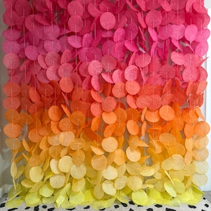May include: A vibrant, multi-colored backdrop featuring a gradient of pink, orange, and yellow circular paper decorations. The circles are suspended from a black rod, creating a layered, textured effect. The backdrop is set against a white wall and a black and white patterned rug.