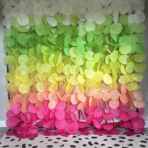 May include: A colorful paper circle garland with a gradient of white, green, yellow, orange, and pink. The garland is hanging from a black metal frame.