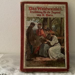 Sale***Vintage Small German Hardcover Book  Das Waldwaislein Erzahlung fur die Jugend by Von K. Dorn.     Colorful Pictures    Early1900’s