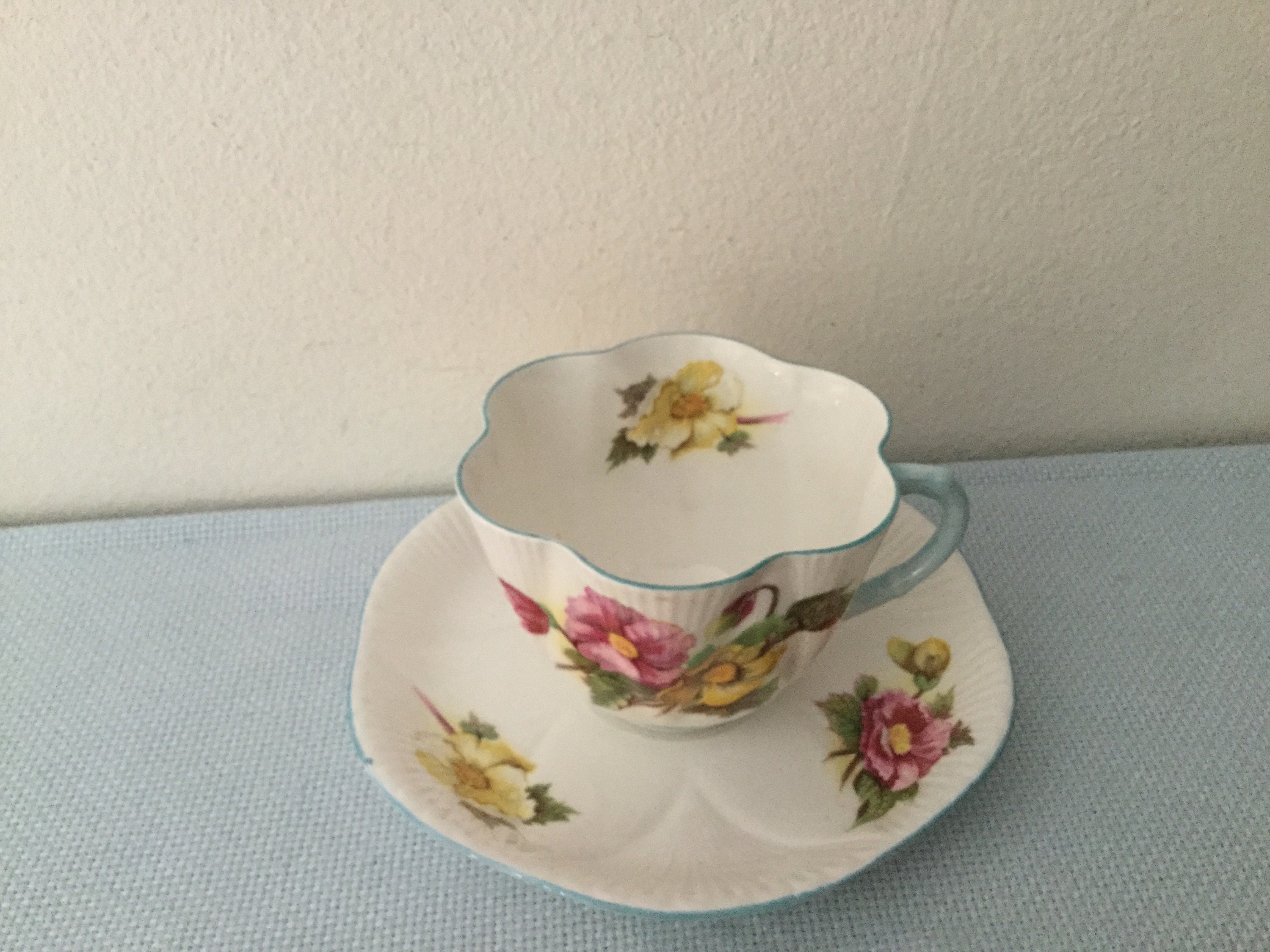 SHELLEY Begonia Teacup and Saucer Set RARE Shelley Baby Blue Etsy