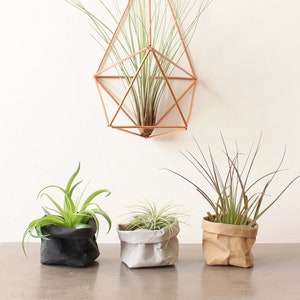 Papier Übertopf, Air Planter, waschbar, Papier Säckchen, Schreibtisch Organizer, Büro, Visitenkartenhalter, Wabi-Sabi
