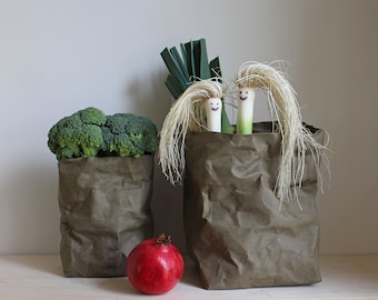 Sustainable storage, Khaki paper bag, washable paper, storage bag, basket, bin, pot, planter, Minimalist, Simple living, Green, Eco, Natural