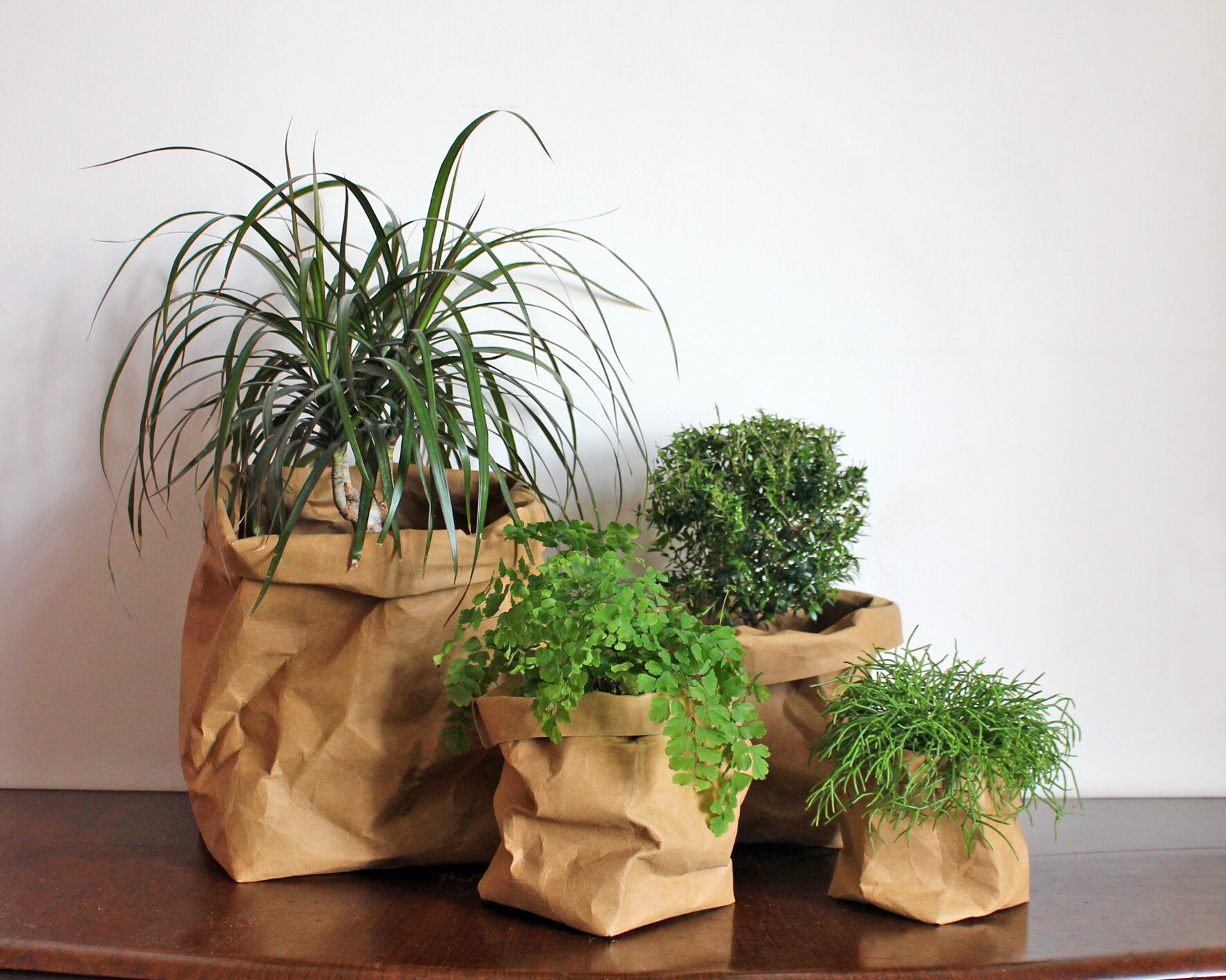 Washable paper planter bags - The perfect eco-friendly solution