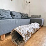 Cat Tunnels