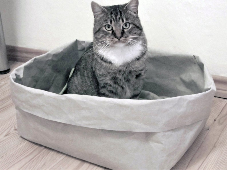 Cat Bed Made From Washable Paper Cat Box Cat Cave Pet Etsy