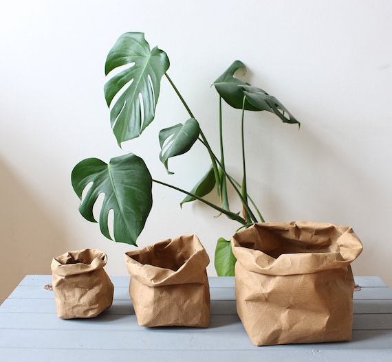 Brown Paper Bag, Washable Paper Bag, Planter, Hamper, Pot, Natural, Rustic,  Earthfriendly, Eco, Earth Tones, Plastic Free, Kraft Look 