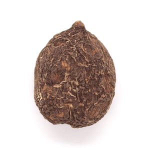 May include: Close-up of a single, brown, textured maca root against a white background. The root has a rough, irregular surface and a small, pointed tip. The color is a mix of dark and light browns.