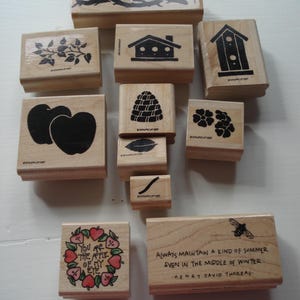 Timbri in gomma di legno, set Stampin' Up, timbri a forma di ramo d'albero, timbri a forma di casetta per uccelli, timbri a forma di mela dei miei occhi, timbri a forma di alveare. Creazione di biglietti, album di ritagli