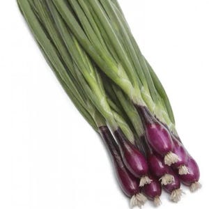 May include: A bunch of fresh scallions with vibrant green stalks and deep purple bulbs. The scallions are arranged in a diagonal composition against a white background, showcasing their natural colors and textures. Ideal for culinary use.