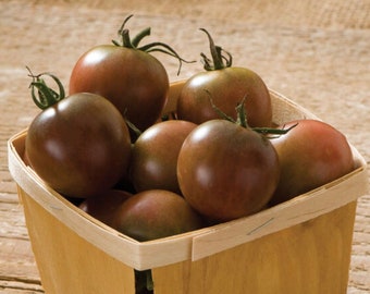 Organic Black Cherry Tomato Seeds, Non-GMO, Open Pollinated, Solanum lycopersicum