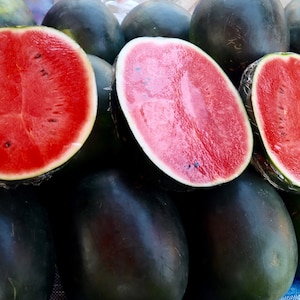Sugar Baby Watermelon Seeds, Red Watermelon // Heirloom, Non-GMO, citrullus lanatus