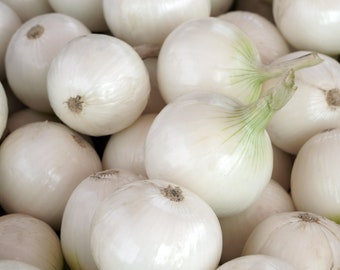 Crystal White Wax Onion Seeds, White Pearl Onions, Pickling Onions, Short Day, 150 seeds // Heirloom, Non GMO, allium cepa