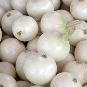 Crystal White Wax Onion Seeds, White Pearl Onions, Pickling Onions, Short Day, 150 seeds // Heirloom, Non GMO, allium cepa