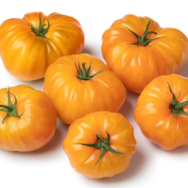 Beefsteak Tomato Etsy