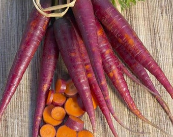 Cosmic Purple Carrots Seeds, 650 Count