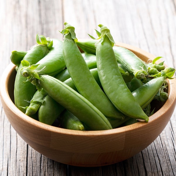 Sugar Ann Snap Peas, Original Snap Pea Seeds // Heirloom, Non-GMO, pisum sativum