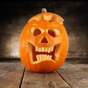 Organic Jack O&#39; Lantern Pumpkin Seeds // Non-GMO, Cucurbita pepo