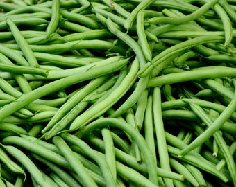 May include: A close-up shot of a pile of fresh, vibrant green beans. The beans are long, slender, and have a smooth texture. The image is well-lit, highlighting the natural color and shape of the vegetables. A healthy food item.