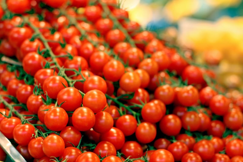 Non-GMO solanum lycopersicum Chadwick Cherry Tomato Seeds 30 Seeds Heirloom Indeterminate