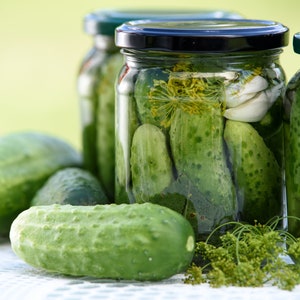Boston National Pickling Cucumber Seeds, 75 Count, Green Pickling Cucumbers