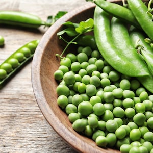 Organic Green Arrow Peas, English Shelling Peas, Vine // Organic, Heirloom, Non-GMO, Pisum sativum