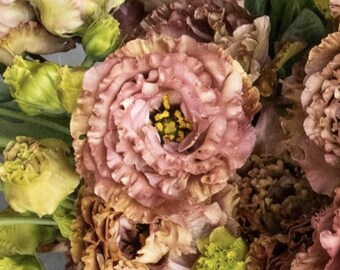 Rosanne 2 Terracotta (F1) Lisianthus Seeds, Eustoma Grandiflorum