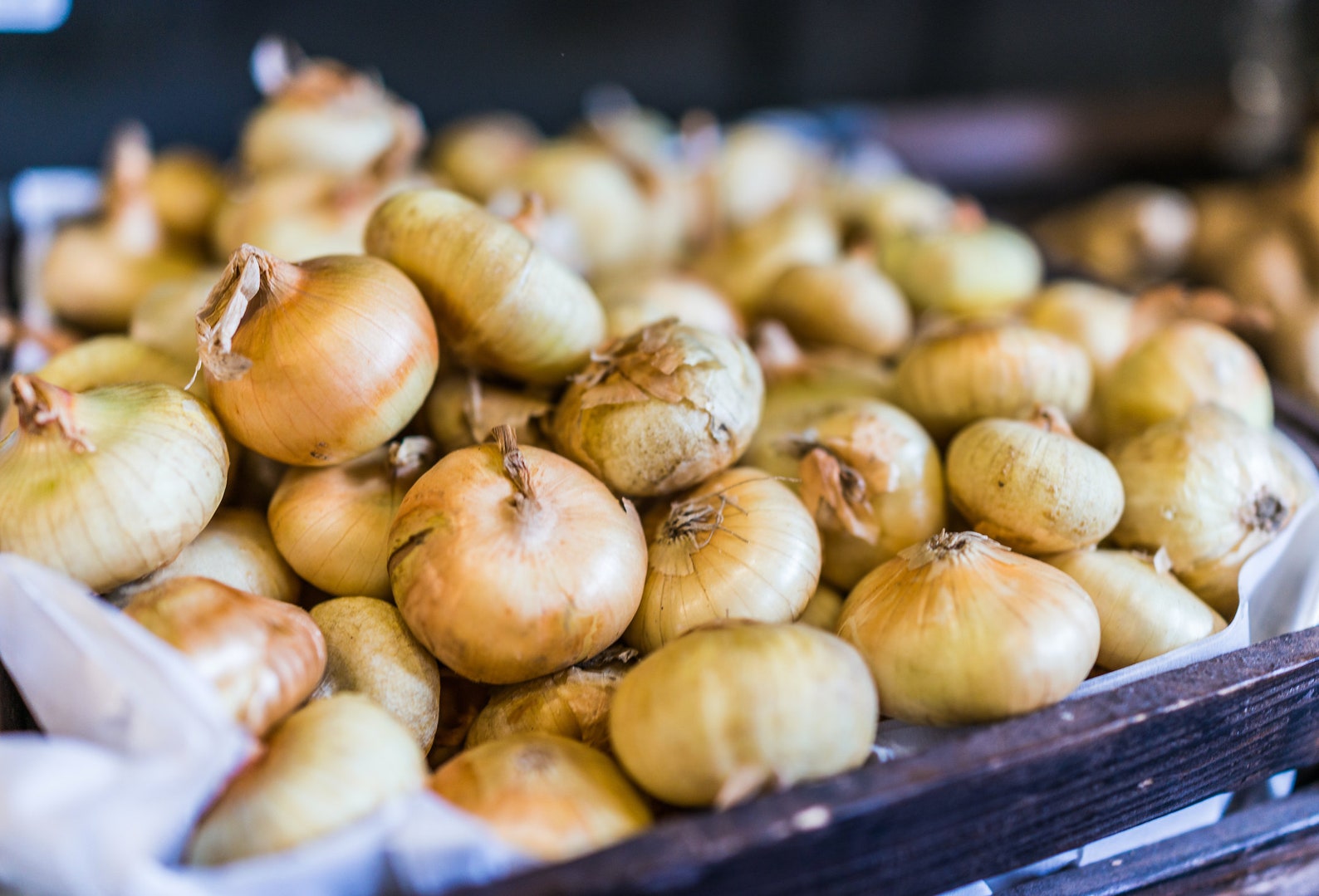 Borettana Yellow Cipollini Onion Seeds 150 Seeds // Heirloom Etsy