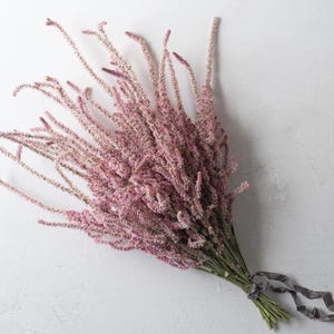 以下が含まれることがあります： 細長い茎と羽のような花を持つピンク色の花の束。 花は緑色の茎と灰色のリボンで結ばれています。 配置は白い背景に設定されています。