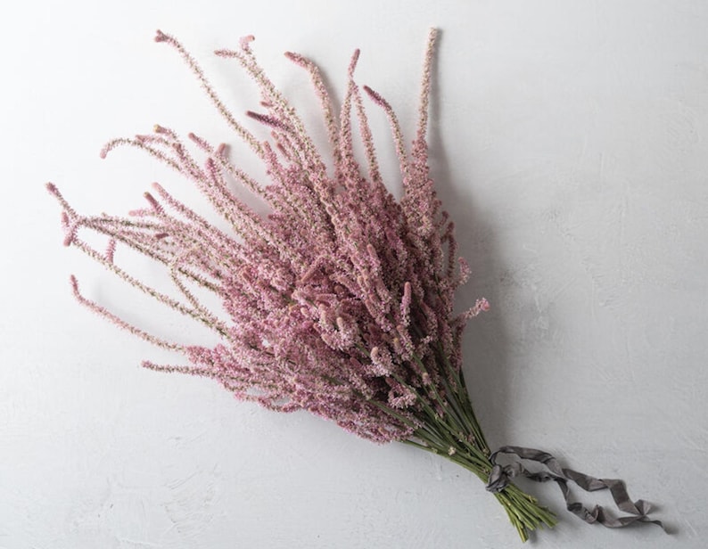 以下が含まれることがあります： 細長い茎と羽のような花を持つピンク色の花の束。 花は緑色の茎と灰色のリボンで結ばれています。 配置は白い背景に設定されています。