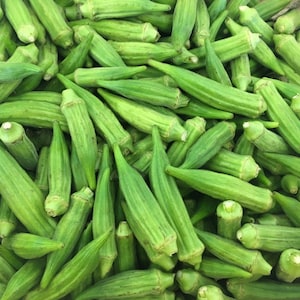 Clemson Spineless Okra Seeds // Heirloom, Open-Pollinated, Non GMO, Abelmoschus esculentus